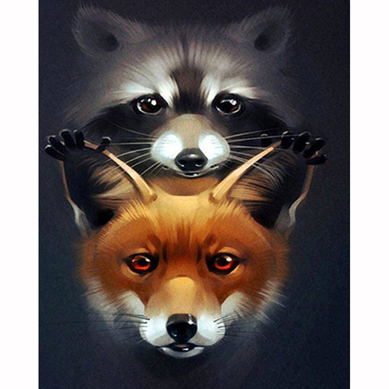 Raccoon and fox