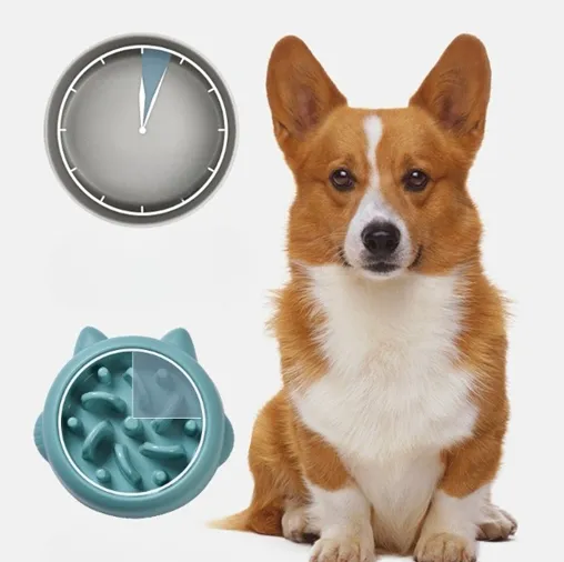 Pet Dog Cat Slow Feeder Bowls Anti Choking Slow Feeder Dish Bowl Home Dog Eating Plate Anti Gulping Bowl Supplies – image 3