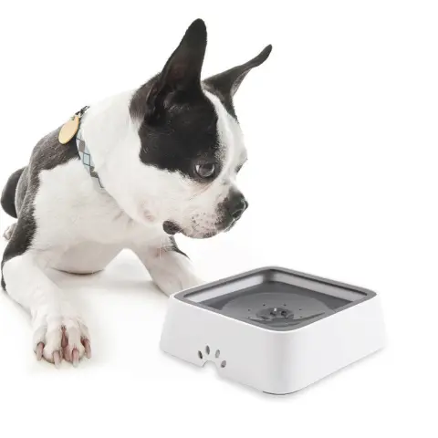 2L Cat and Dog Basin with Floating Bowl Anti-overflow