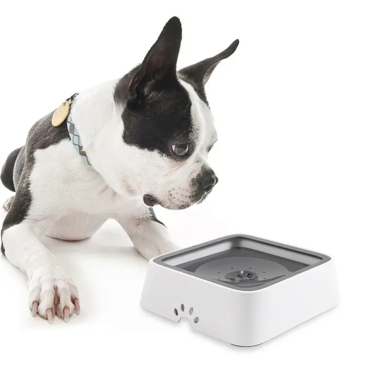 2L Cat and Dog Basin with Floating Bowl Anti-overflow