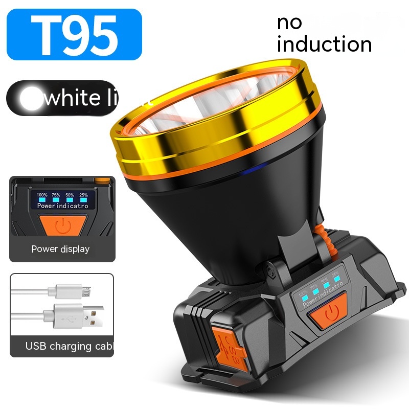 T95 White Light