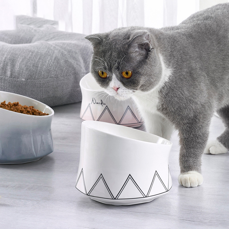 Ceramic Pet Cat Bowl on a stand