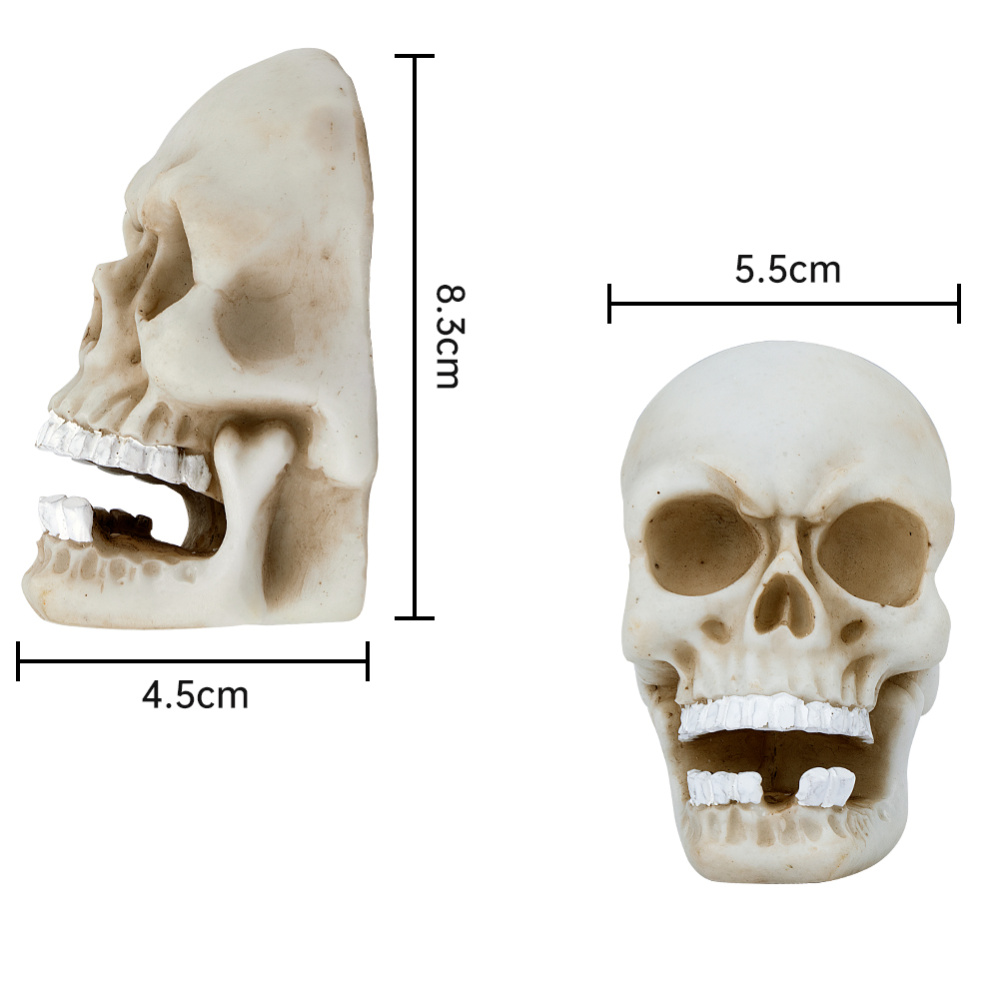 Skull