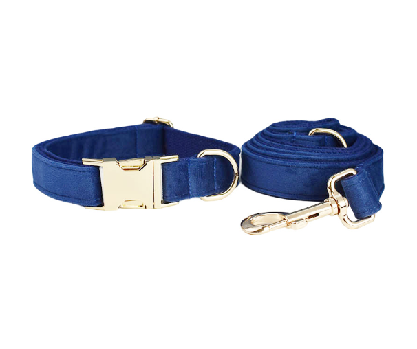 Dog pen dog rope5