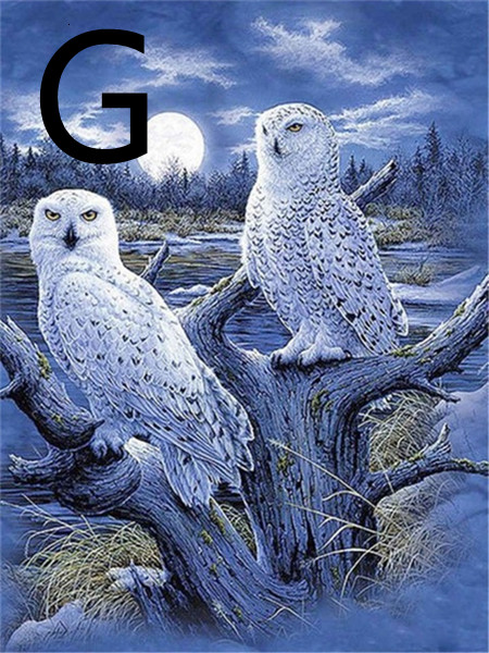 G