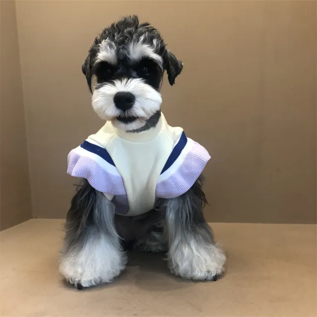 Puppies' Autumn And Winter Padded Sweatshirt Purple - Shop at LoveMi