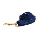 Dog Leash2