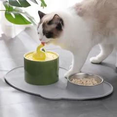 Pet Waterer Dog Water Basin - Olive Greenwater Dispenser - View 1