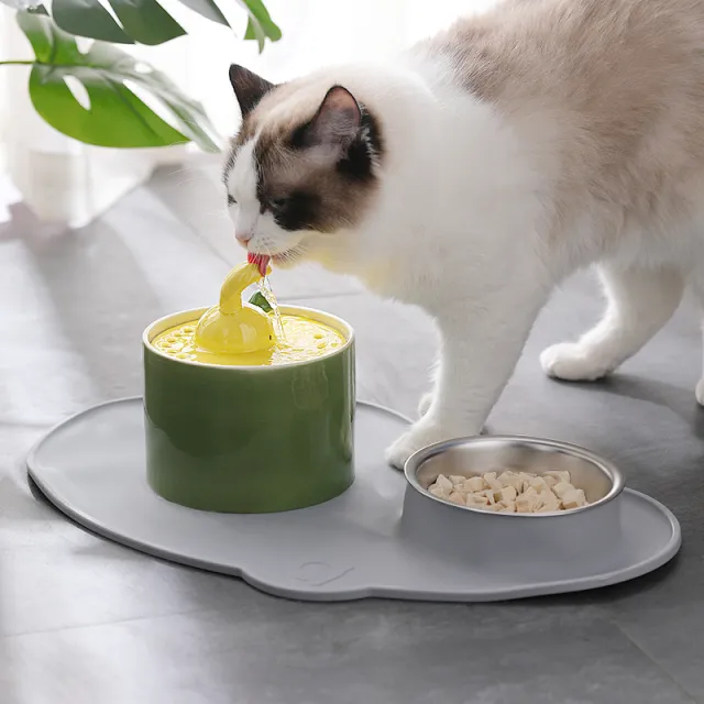 Pet Waterer Dog Water Basin Olive Greenwater Dispenser - Shop at LoveMi