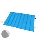 Brilliant Blue