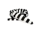 Striped Crocodile