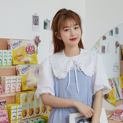 Lace Small Shawl Women's Bow Tie