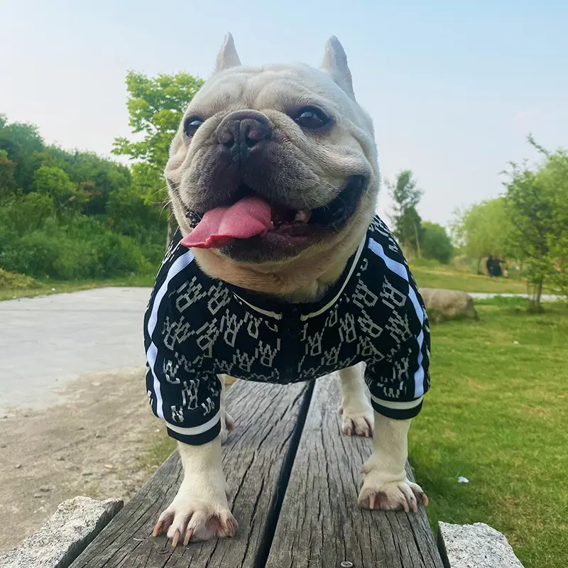 Zip Up Dog Clothing Jacket Stretchy Pet