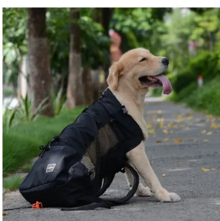 Dog Pet Chest Backpack Is Going Out Black - Shop at LoveMi