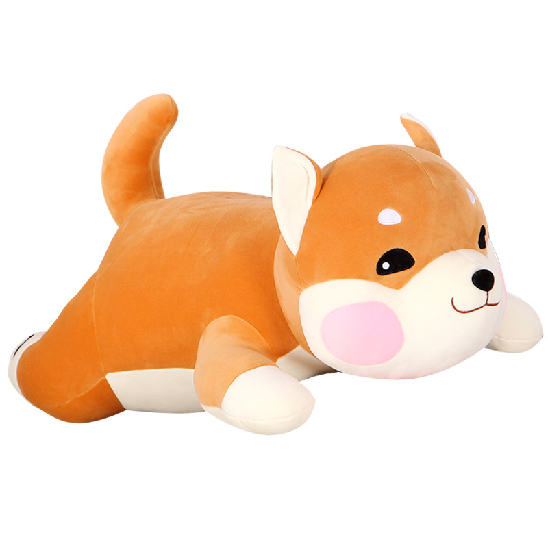 Shiba Inu