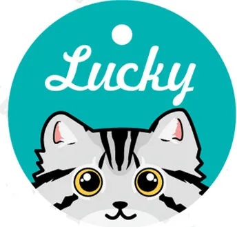 Pet Card Custom Lettering Identity Plate 5 Style - Shop at LoveMi