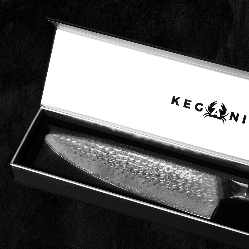 Kegani Chef Knife, 8 Inch Damascus Chefs Knife, Japanese VG10 Super Steel Hammered, G10 Handle Kitchen Knife, Classic Series