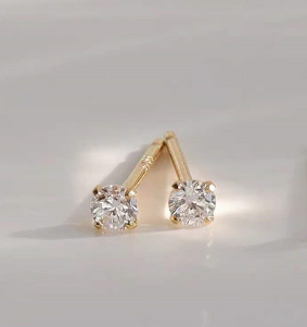 Fashion Earrings
