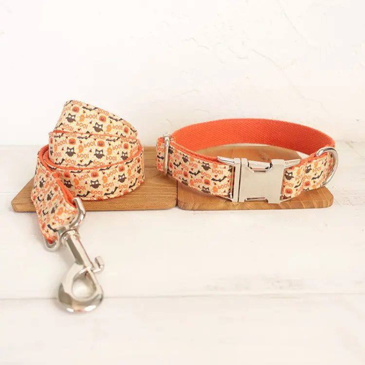 Creative And Simple Pet Traction Rope Collar