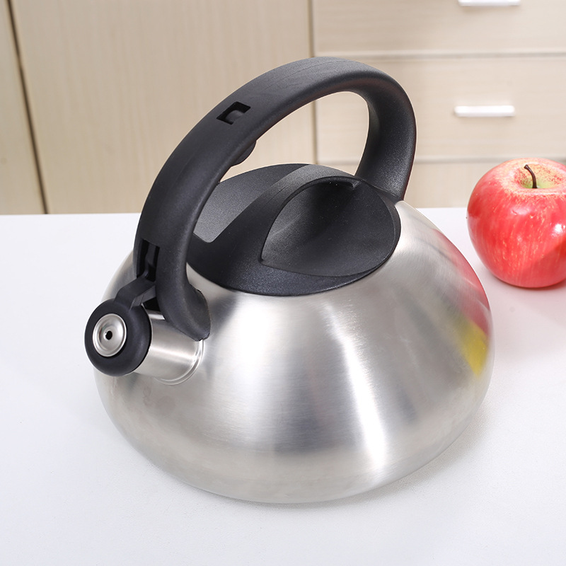 Title 4, Stainless Steel Whistle Kettle