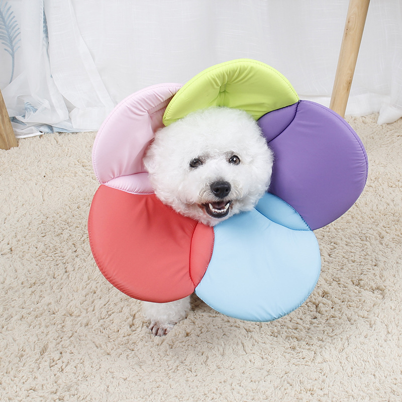 Title 6, Beauty flower anti-scratch pet protective cover...