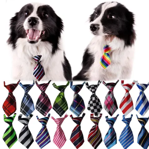 Pet Supplies Dog Ties for Kids