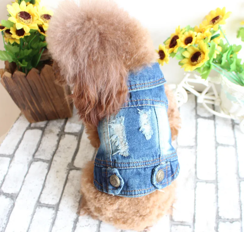 Pet Clothes Ripped Denim Vest Spring And Summer Clothes - Hole Vest