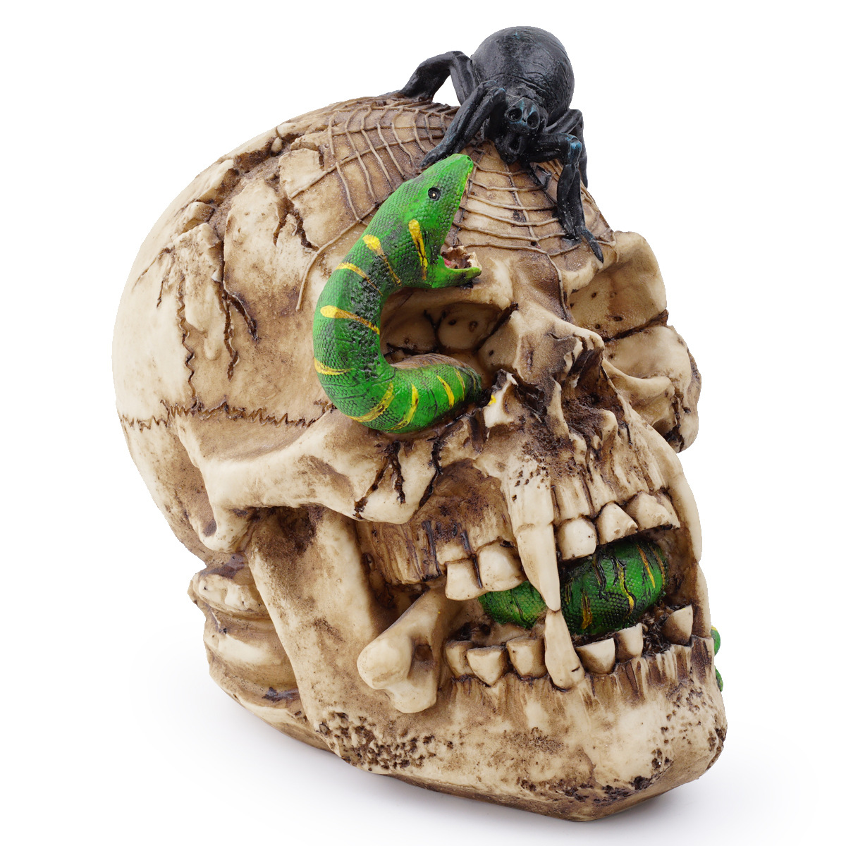 Resin skull human animal skull snake ornament halloween