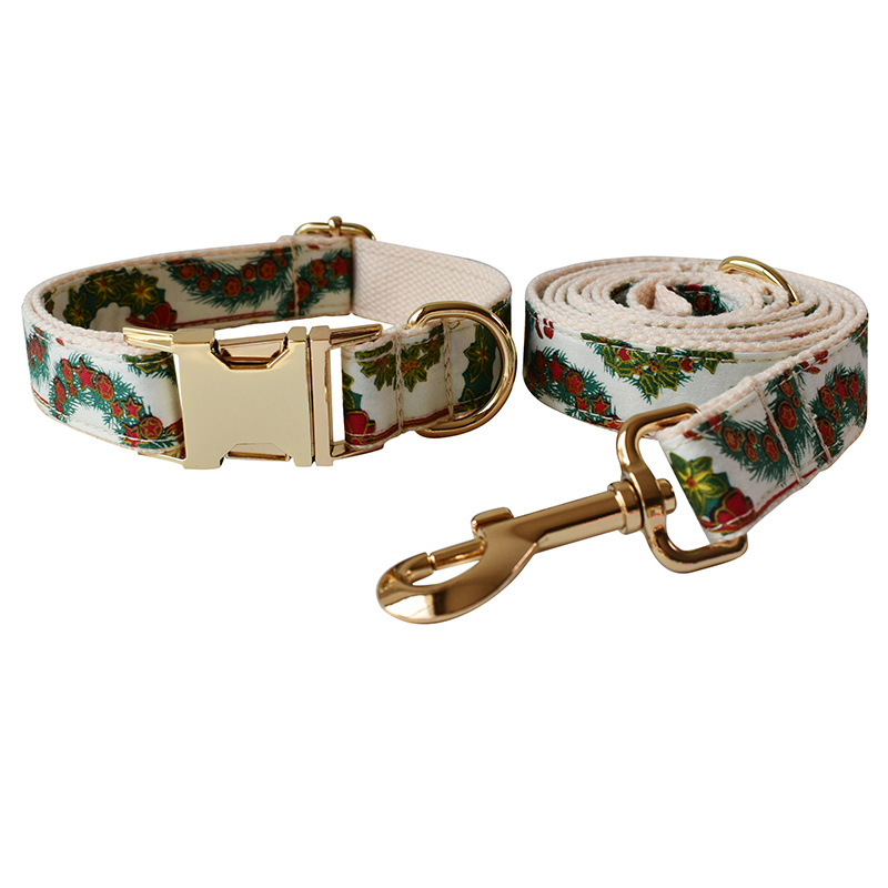 Dog collar dog leash set