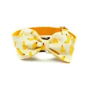 Bow Tie Collar