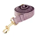 Dog Leash3