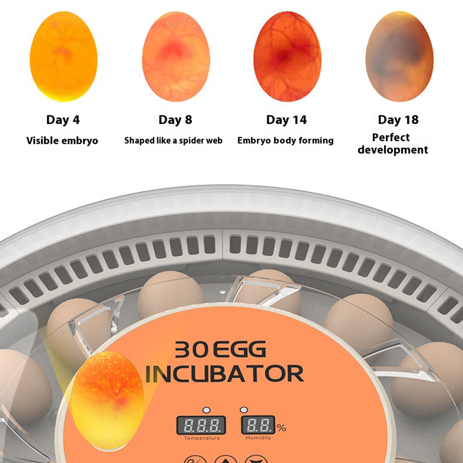 30x Eggs Incubator Temperature Control Chicken Hatcher Automatic Turning Digital — image 10