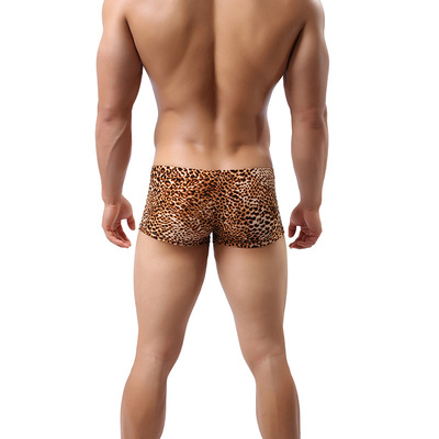 Title 6, Cueca boxer masculina com estampa de leopardo, ...