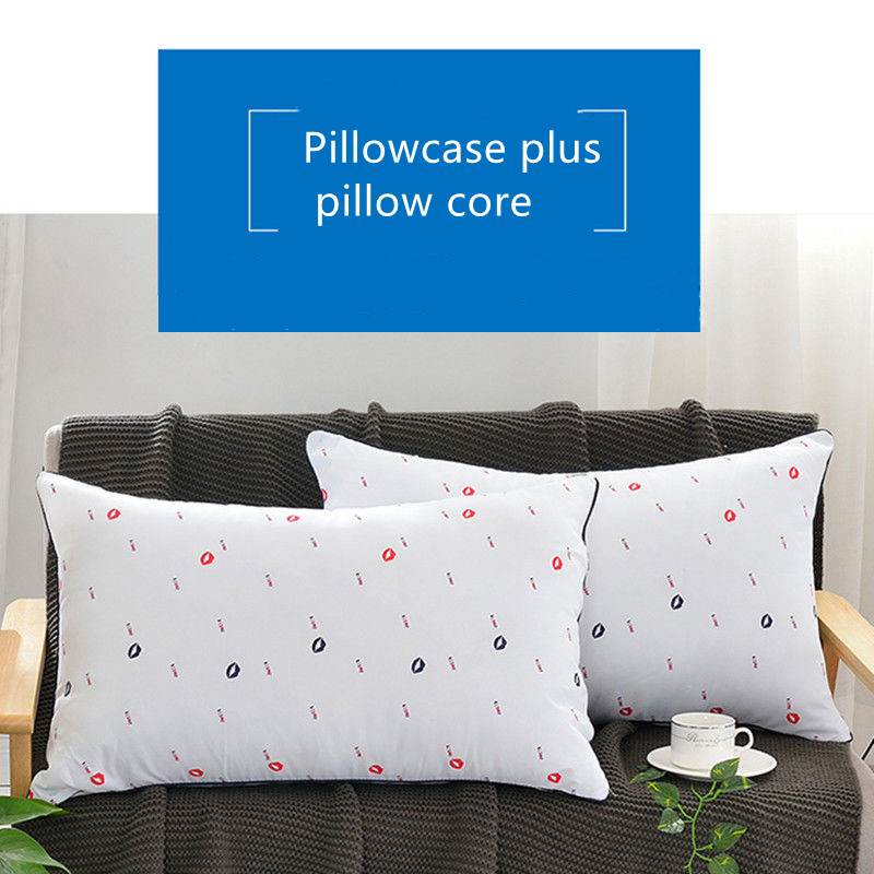 Pillowcase plus pillow core