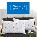 Pillowcase Plus Pillow Core
