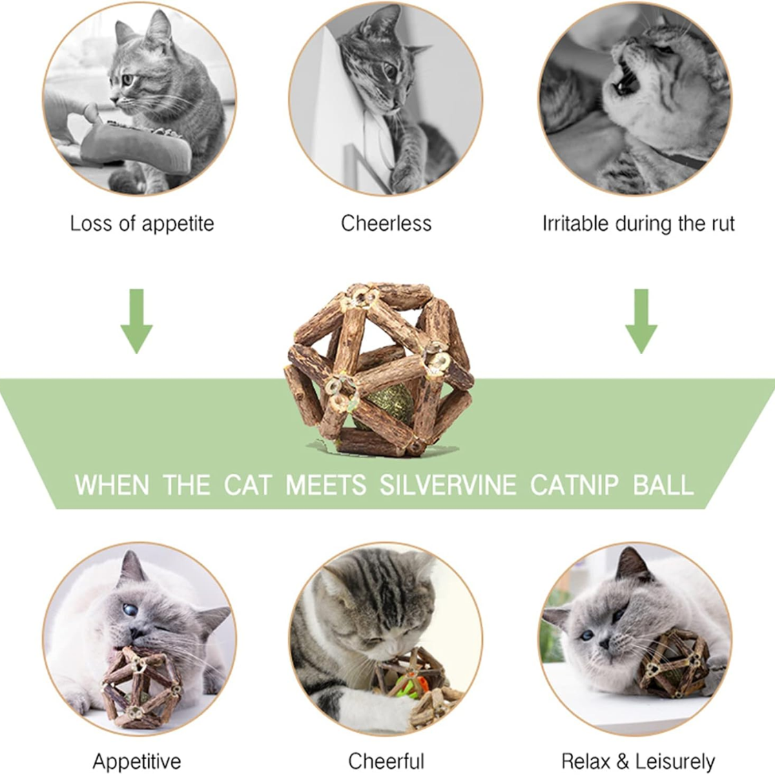 Bâton matatabi chat avec balle cataire et grelot, jouet à mâcher