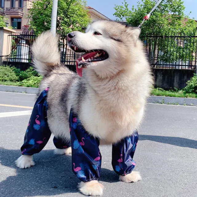 Adjustable Dog Four Legged Raincoat Bird - Shop at LoveMi