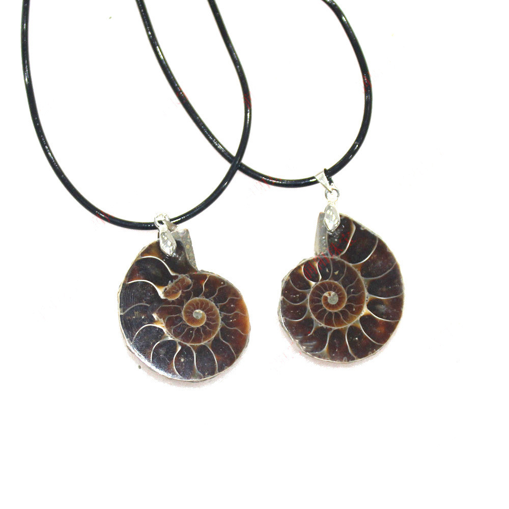 Natural Conch Fossil Pendant Necklace (One pretending.)