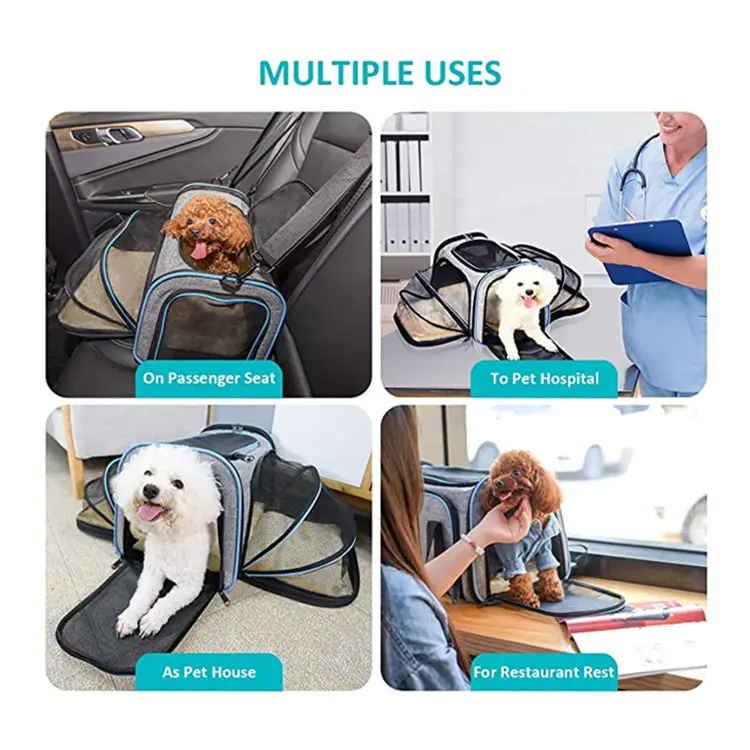 Carrier For Cat Pet Airline Approved Expandable