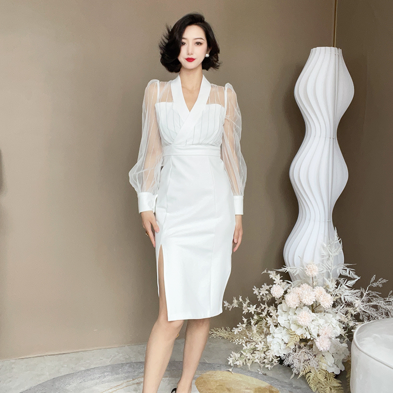 Mesh V-Neck Bodycon Dress, picture 5 of 7