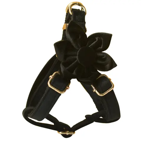 Black Flannel Gold Buckle Dog Harness Pet Supplies Pet