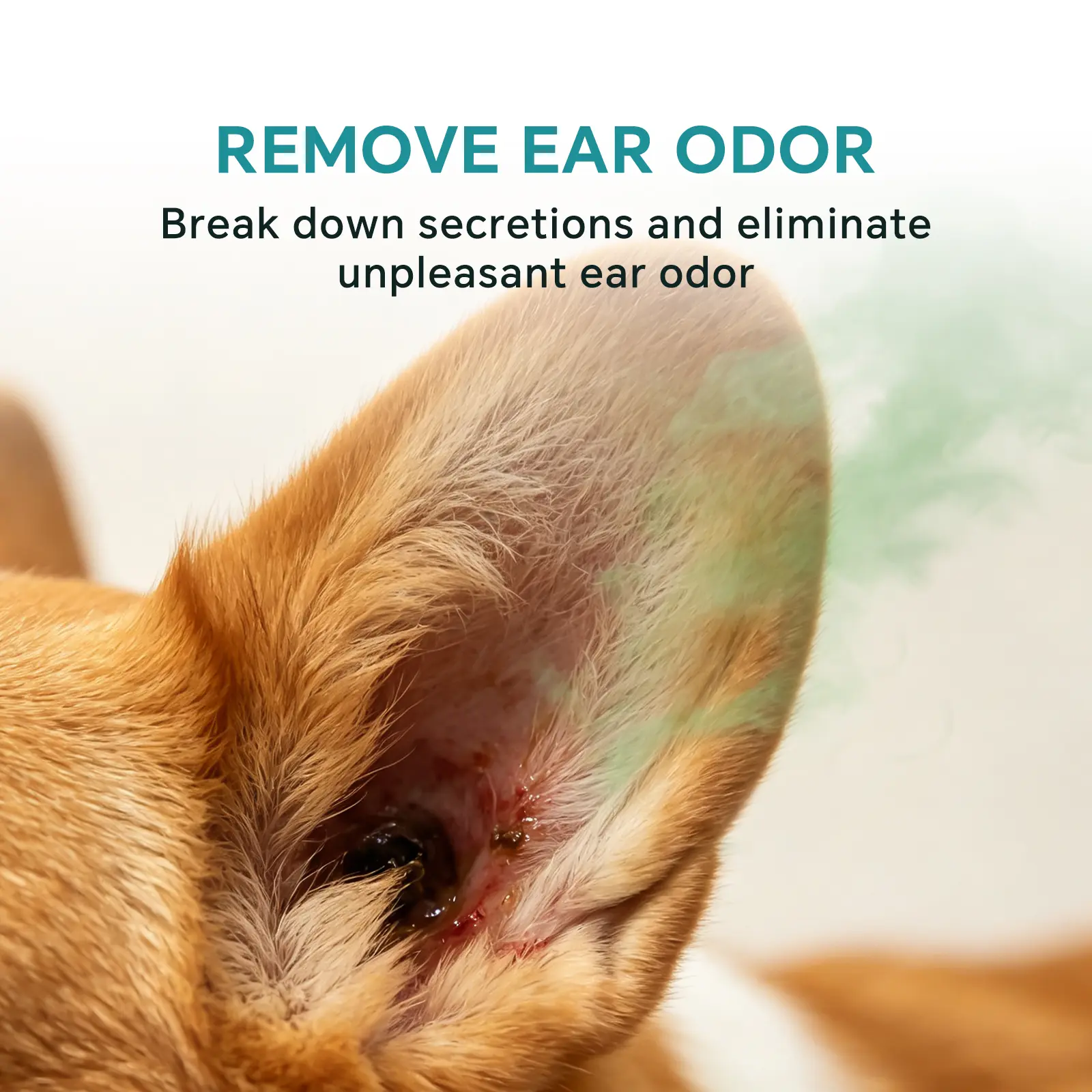 Only Self Pickup---Pet Ear Drops