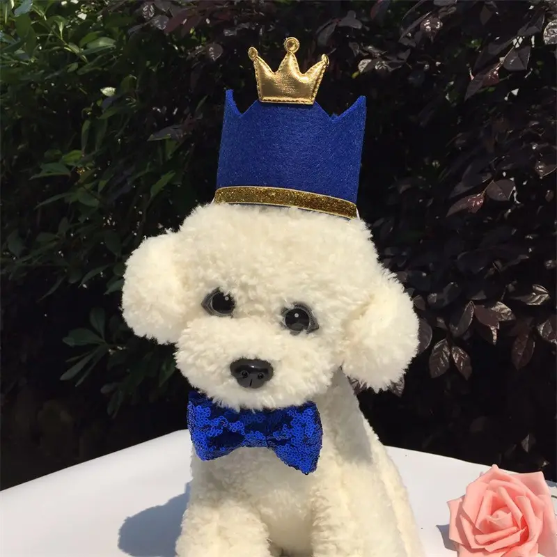 Pet Party Birthday Hat Dog Crown Cat