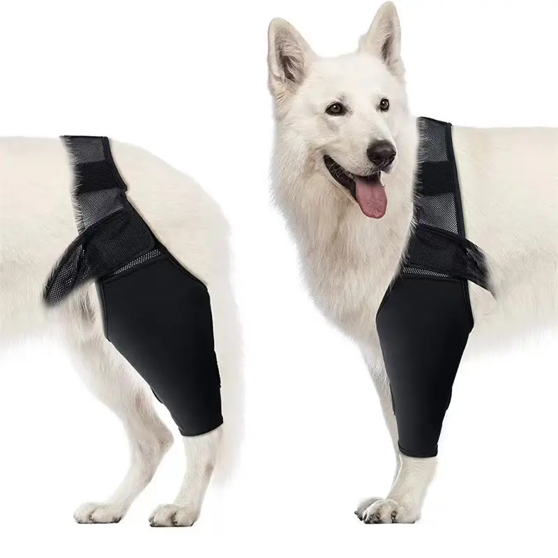 Dog Leg Support Protector, Front And Rear