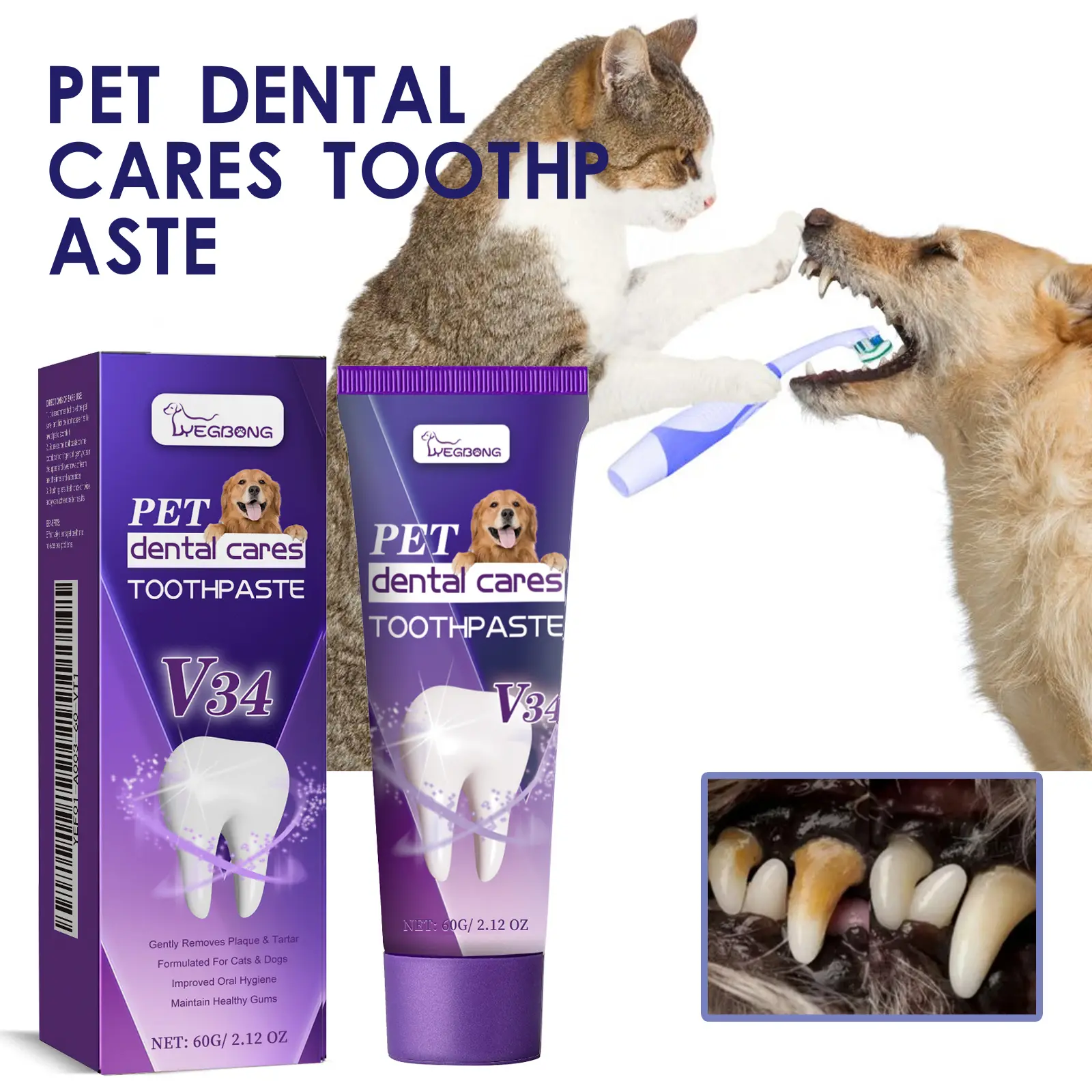 Pet V34 Toothpaste 60g  1box