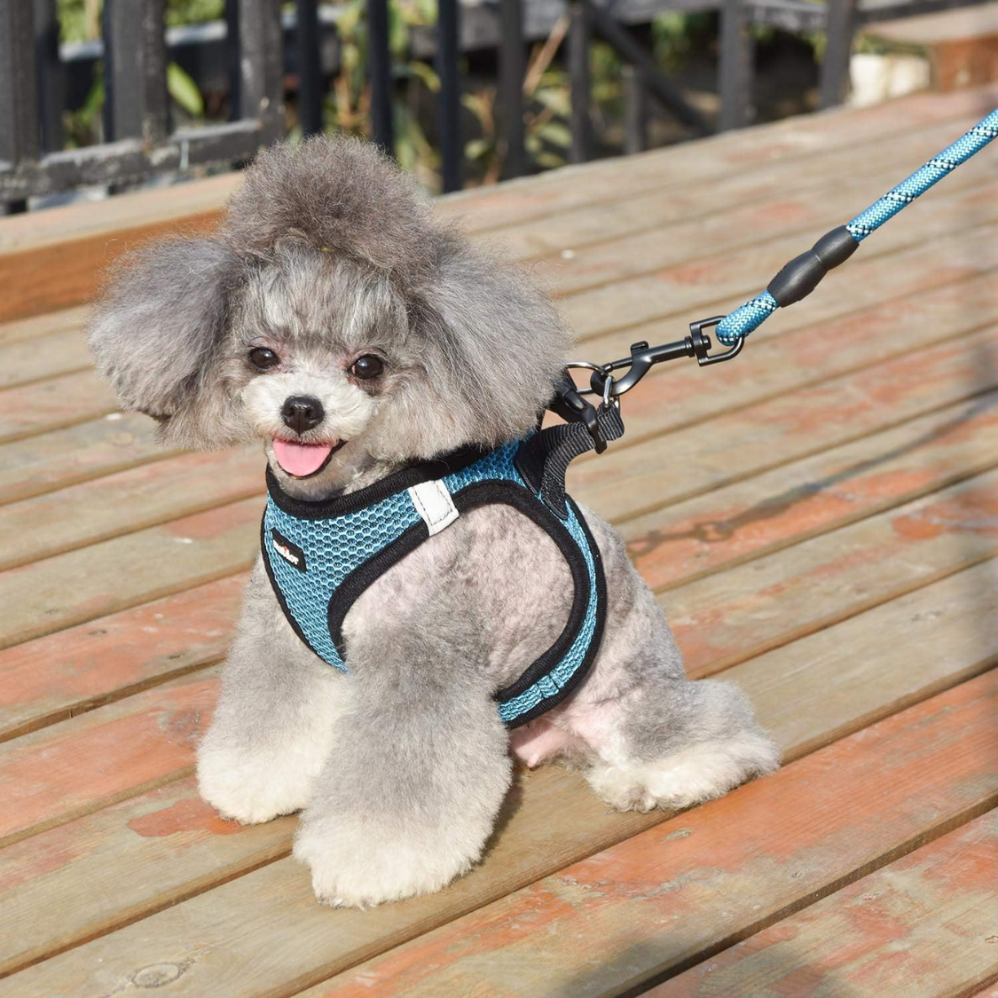 Breathable Puppy Cat Dog Vest Harnesses For Small Medium Dogs — foto 4