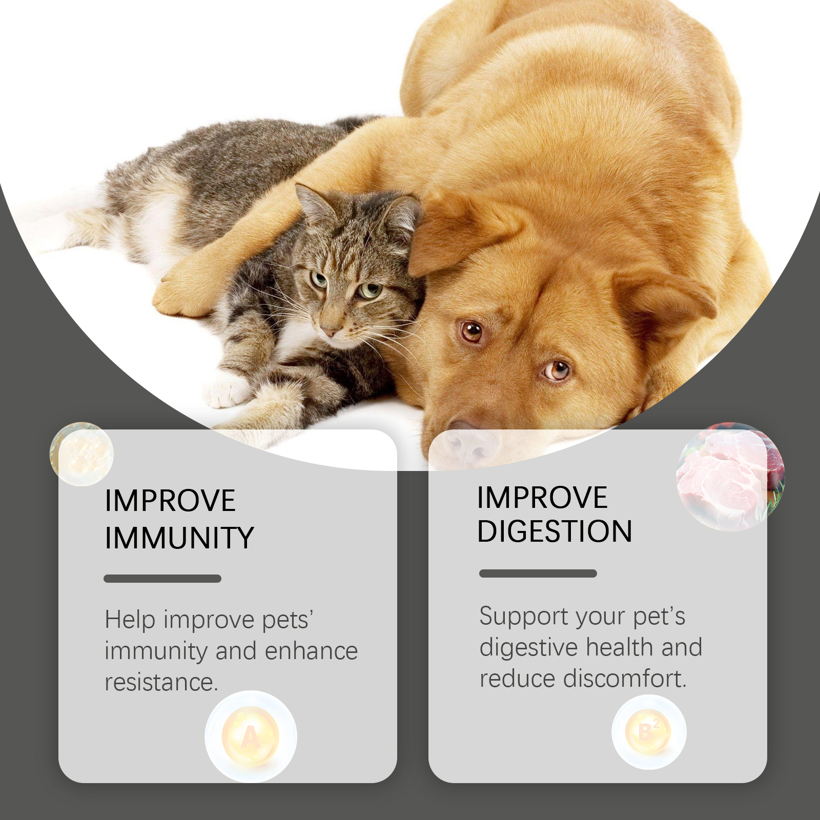 Pet Probiotic Chewable Tablets For Dogs & Cats Digestive Health Support, Immune Booster With Vitamin B2 & Yeast Selenium, 80 Tablets 8