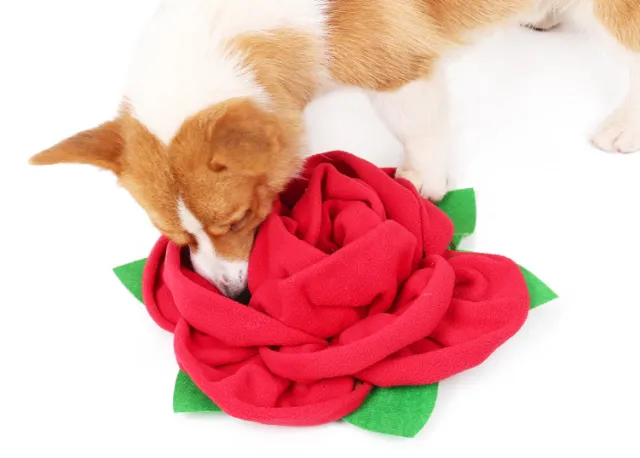 Pet Rose Smelling Pad To Hide Food Training Red - Shop at LoveMi