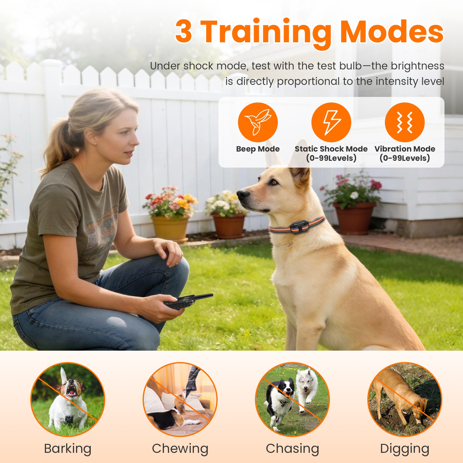 Dog Training Collar With Remote — foto 17