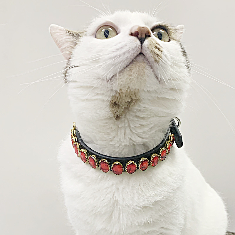 Retro Dog Rope Cat Collar image 5